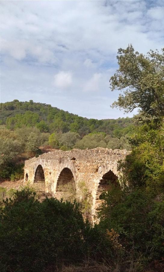 Bonita Casa Blanca En El Bosque. Villa Cordoba Luaran gambar