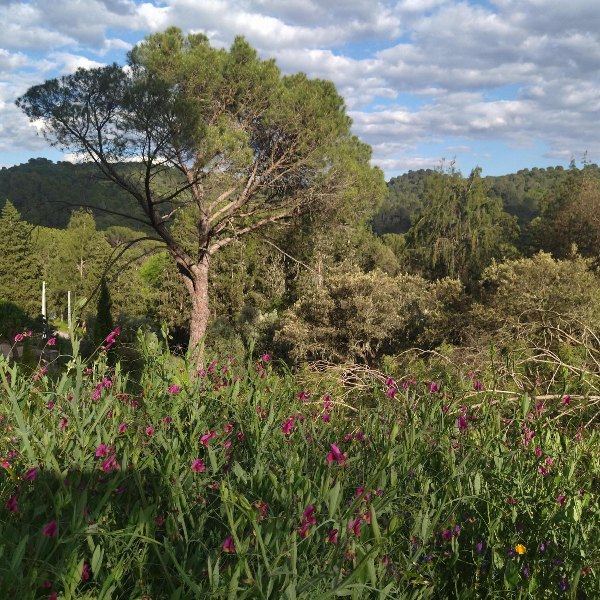 Bonita Casa Blanca En El Bosque. Villa Cordoba Luaran gambar